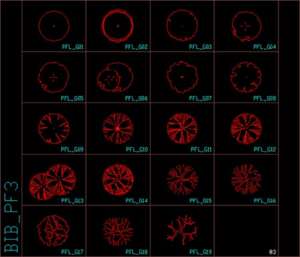 70+ trees (elevation and top view)