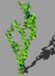 CAD Library: 3D climbing plant