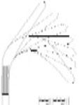 CAD Library: Tractrix Curve of a Bus