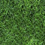 Textures: Lawn