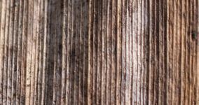 Textures: old wood dark and strongly ribbed